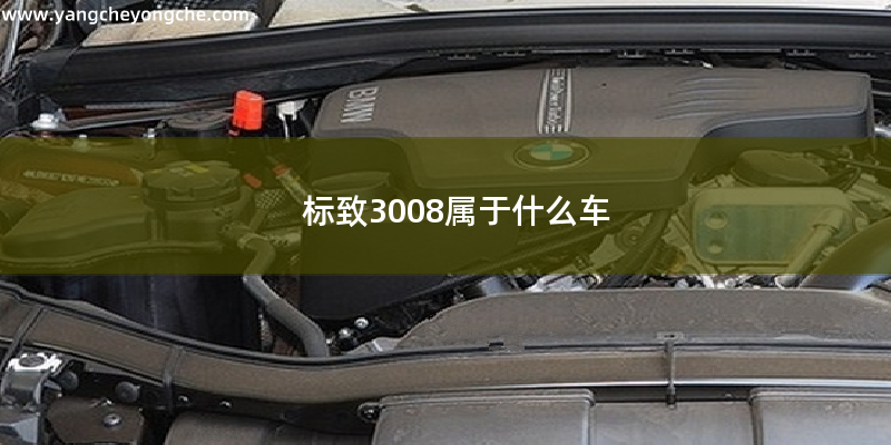 标致3008是什么车