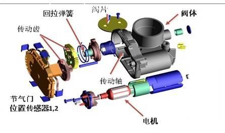 节气门的组成构造图